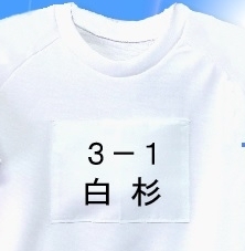 体操服
